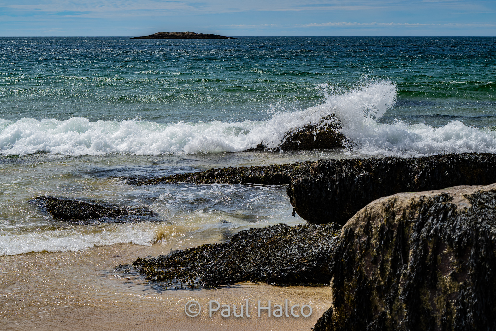 Paul Halco-Acadia NP-5